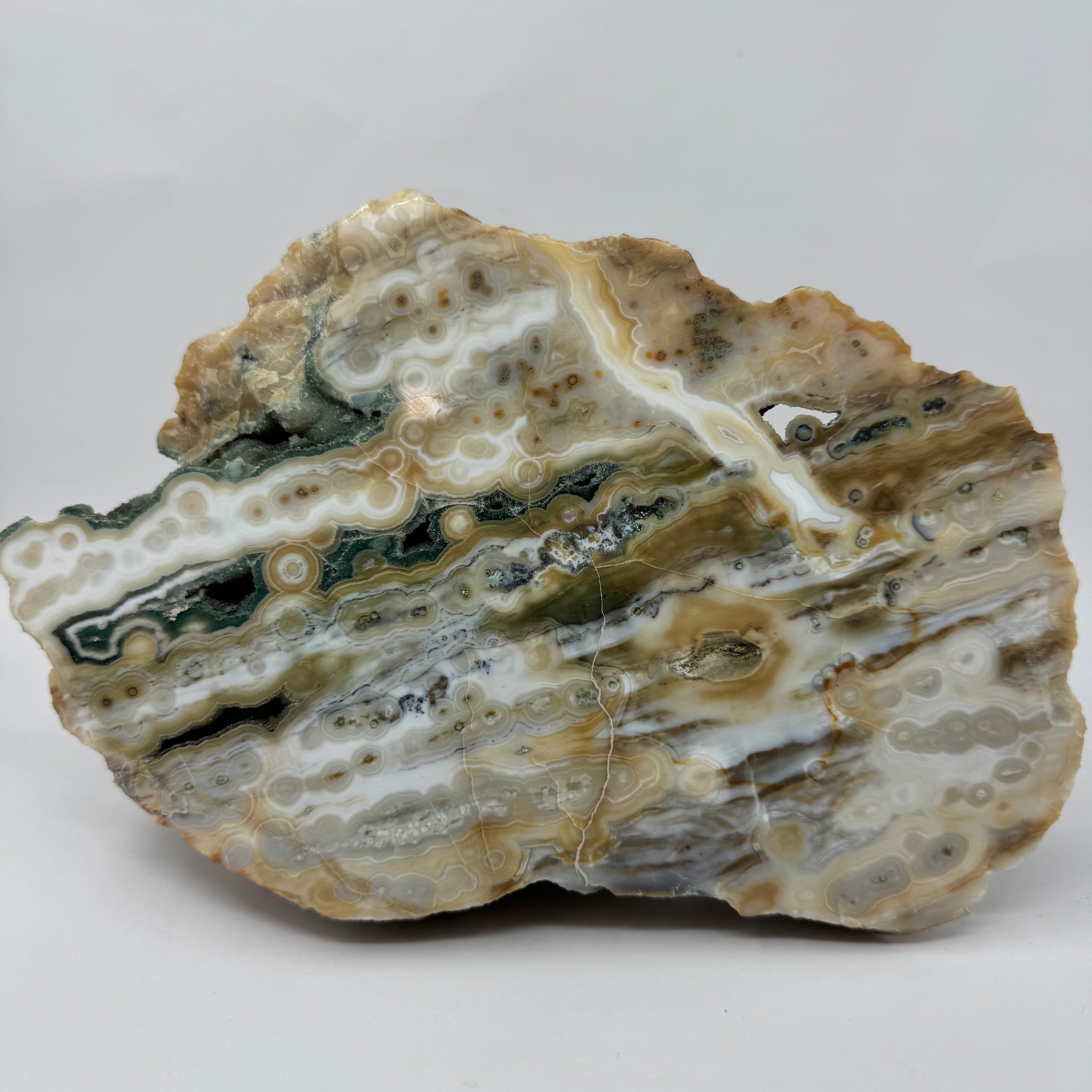 Old Stock Ocean Jasper – A Rare Collectible with Stunning Orbs and ...