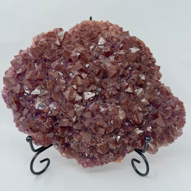 Collector's Cove | Main Street Rocks